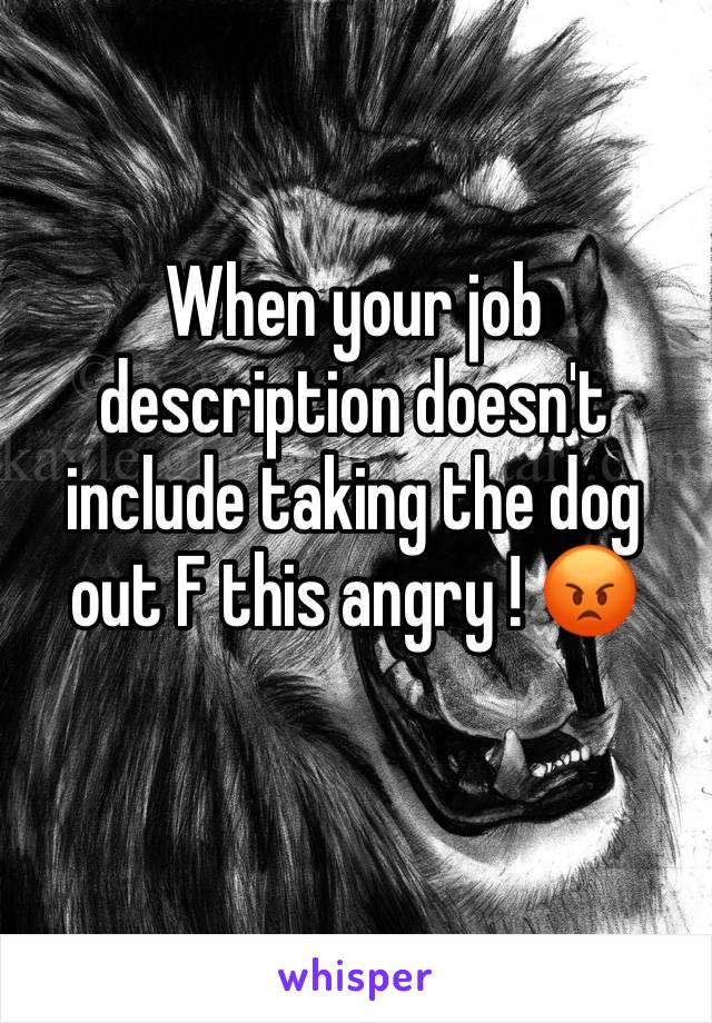 When your job description doesn't include taking the dog out F this angry ! 😡 