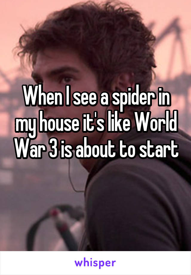 When I see a spider in my house it's like World War 3 is about to start 