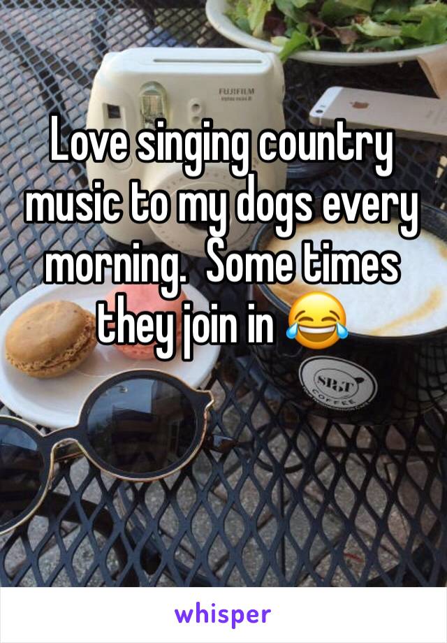 Love singing country music to my dogs every morning.  Some times they join in 😂