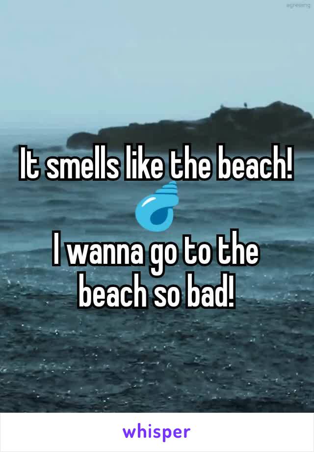 It smells like the beach!
🐚
I wanna go to the beach so bad!