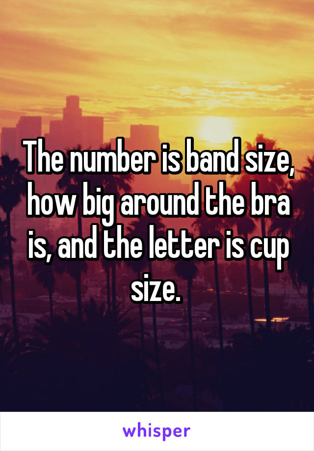 The number is band size, how big around the bra is, and the letter is cup size. 