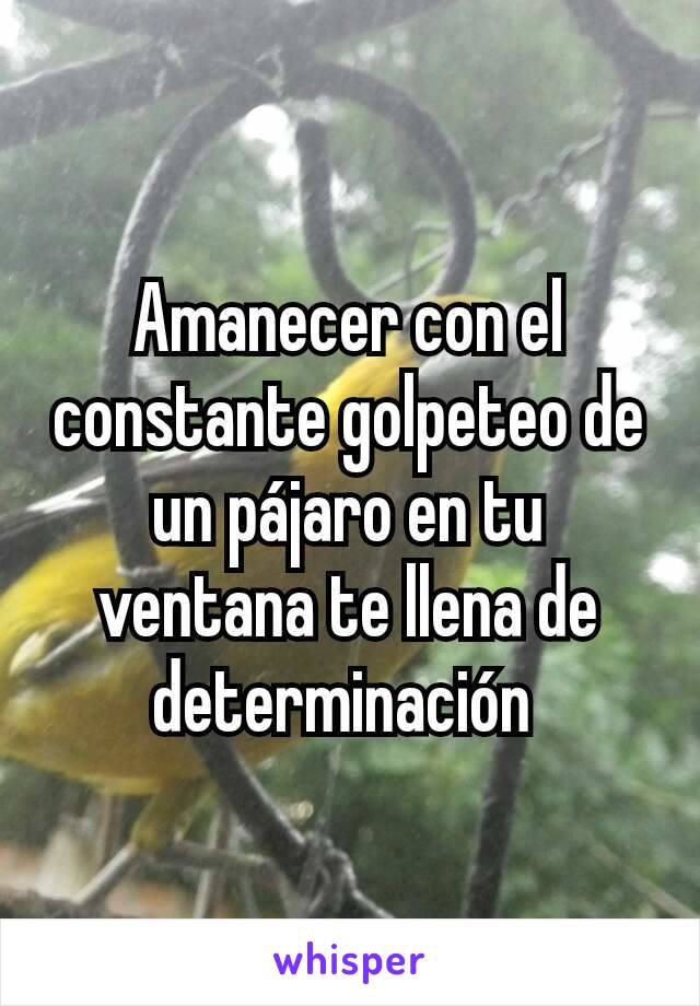 Amanecer con el constante golpeteo de un pájaro en tu ventana te llena de determinación 