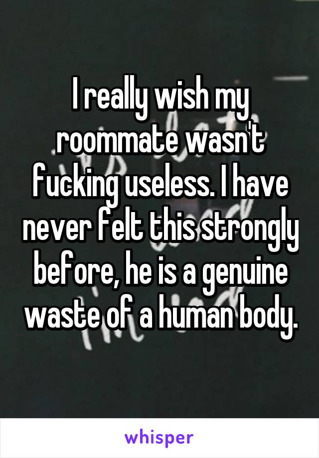 I really wish my roommate wasn't fucking useless. I have never felt this strongly before, he is a genuine waste of a human body. 