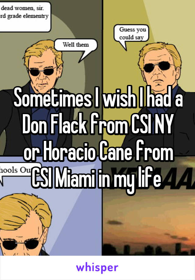 Sometimes I wish I had a Don Flack from CSI NY or Horacio Cane from CSI Miami in my life 