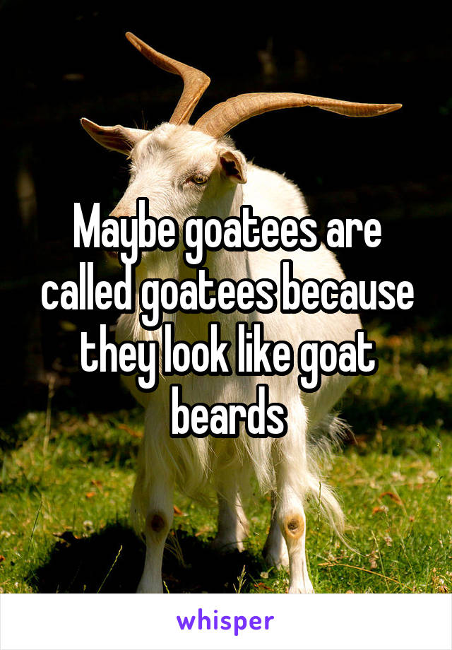 Maybe goatees are called goatees because they look like goat beards