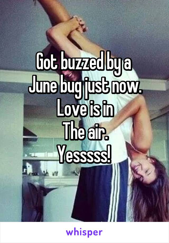 Got buzzed by a 
June bug just now.
Love is in
The air.
Yesssss! 
