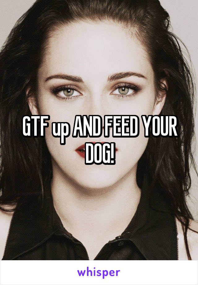 GTF up AND FEED YOUR DOG!