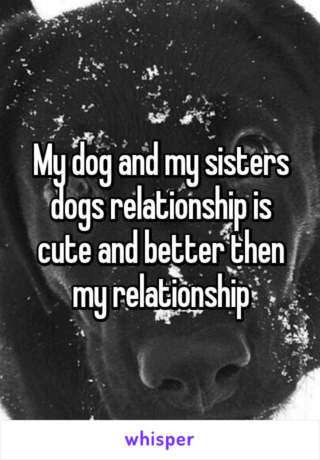 My dog and my sisters dogs relationship is cute and better then my relationship