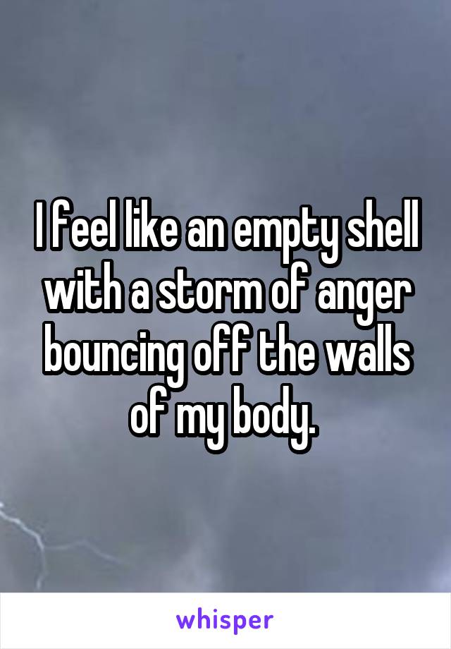 I feel like an empty shell with a storm of anger bouncing off the walls of my body. 