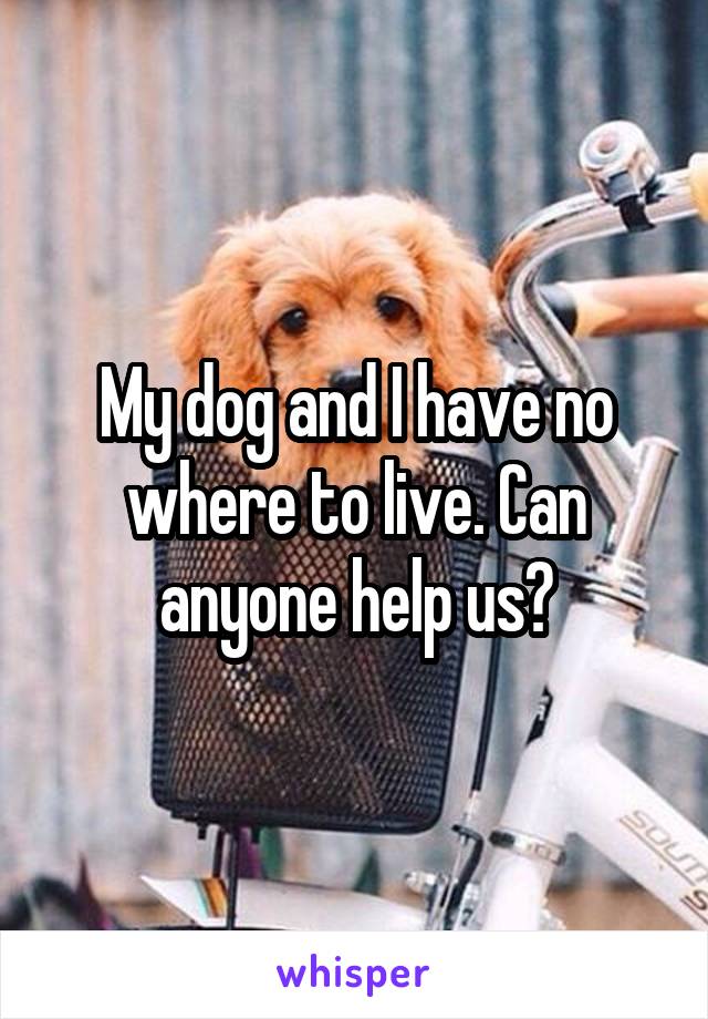 My dog and I have no where to live. Can anyone help us?