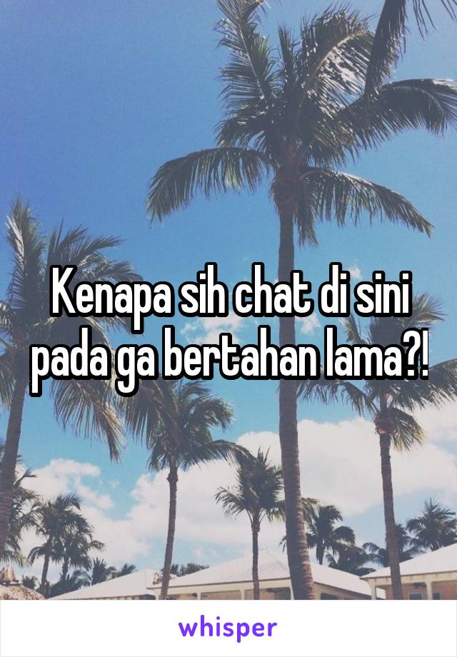 Kenapa sih chat di sini pada ga bertahan lama?!