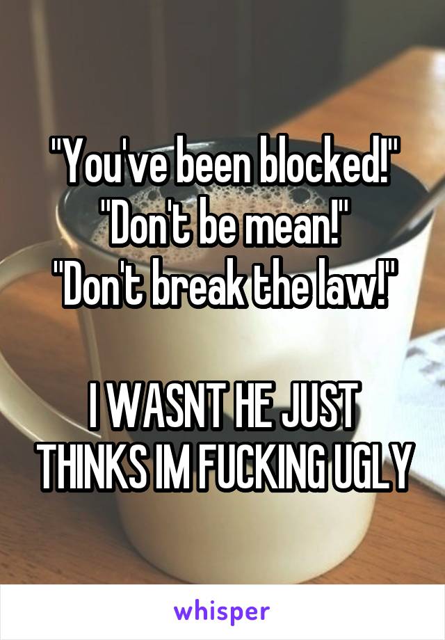 "You've been blocked!"
"Don't be mean!"
"Don't break the law!"

I WASNT HE JUST THINKS IM FUCKING UGLY