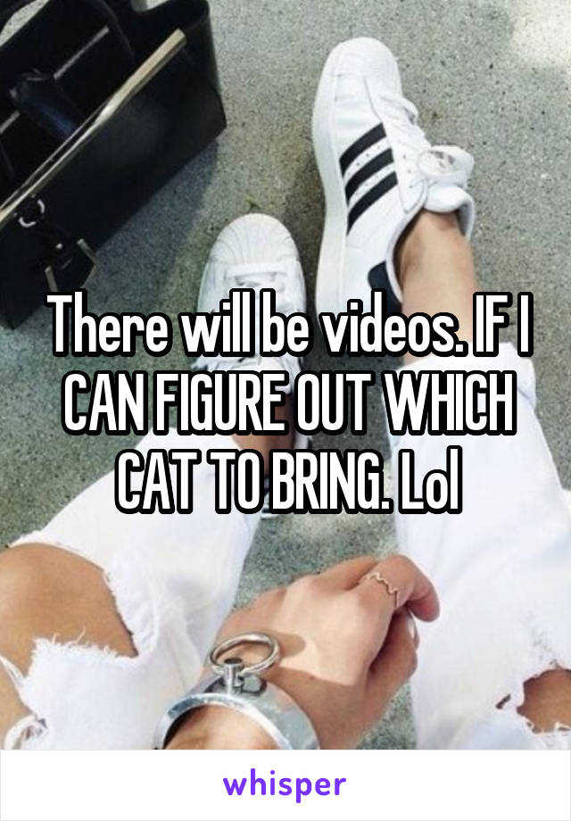 There will be videos. IF I CAN FIGURE OUT WHICH CAT TO BRING. Lol