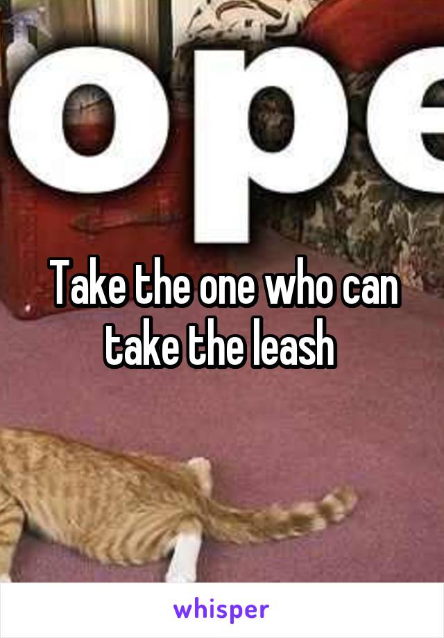 Take the one who can take the leash 