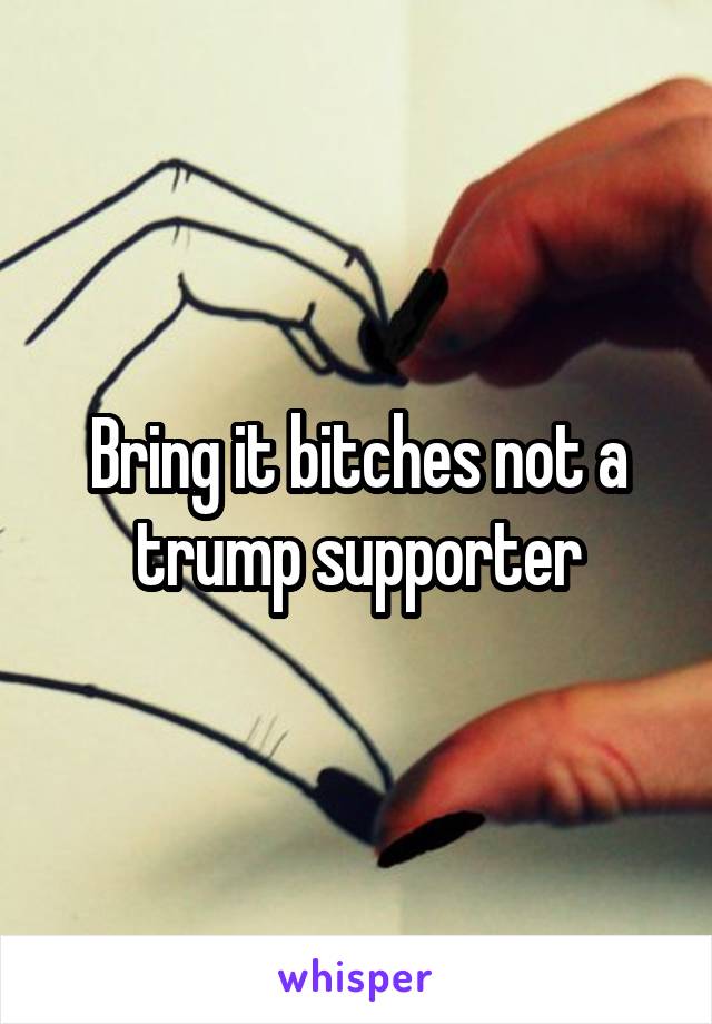 Bring it bitches not a trump supporter