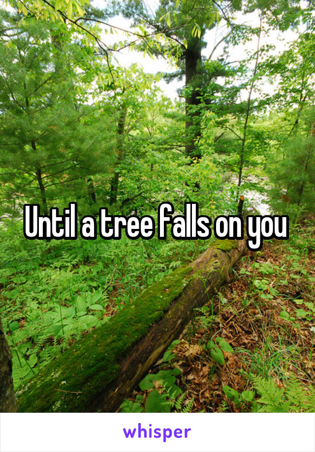 Until a tree falls on you 