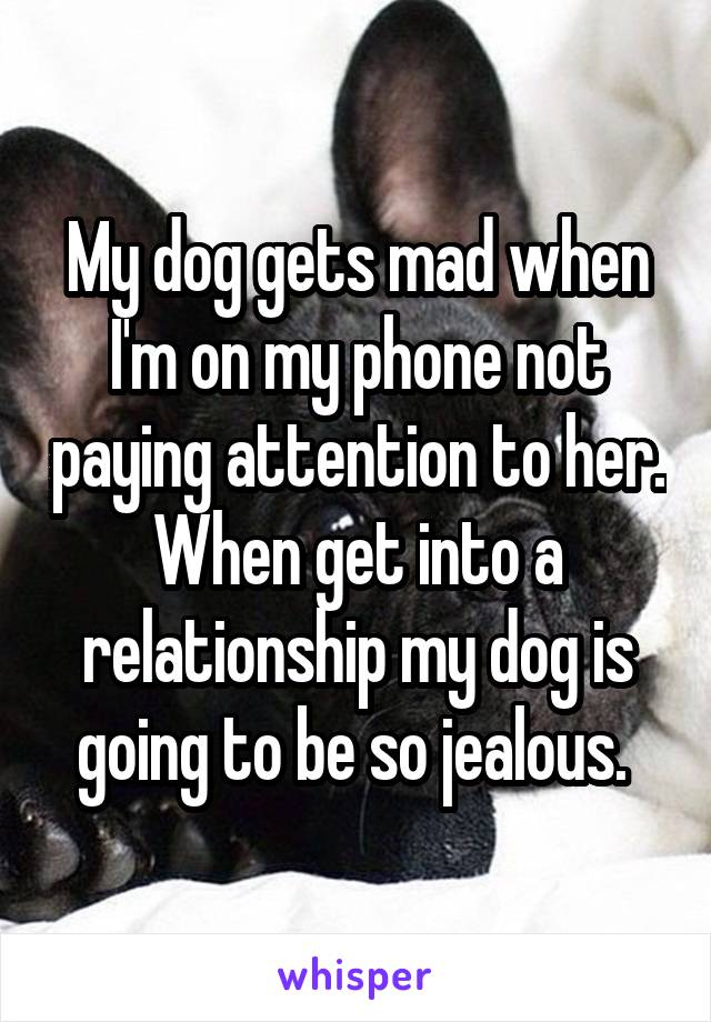 My dog gets mad when I'm on my phone not paying attention to her. When get into a relationship my dog is going to be so jealous. 