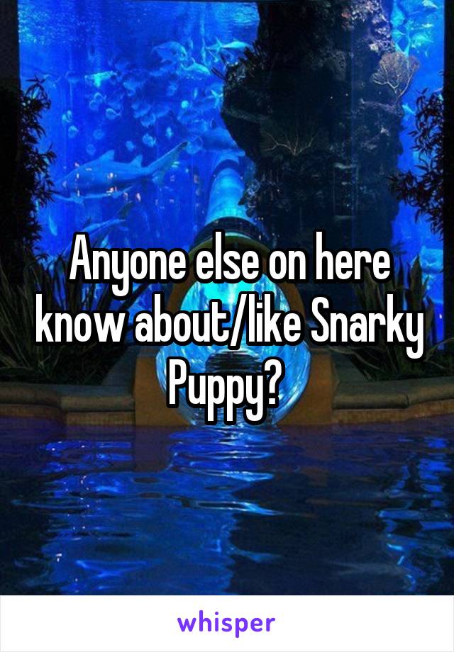 Anyone else on here know about/like Snarky Puppy? 