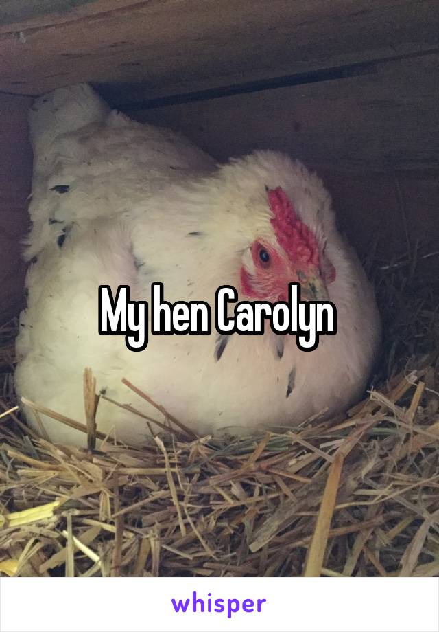 My hen Carolyn 