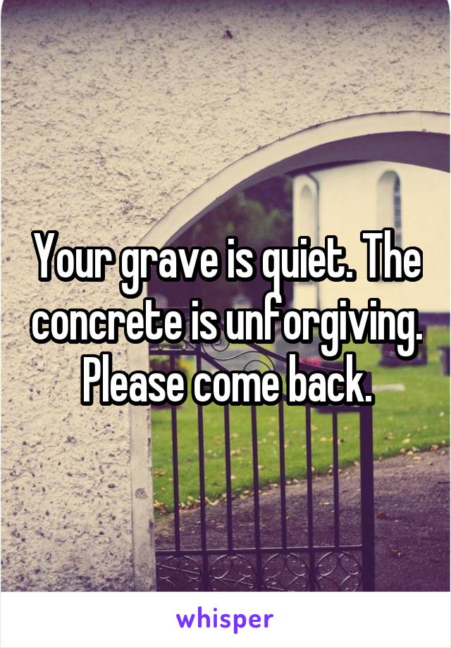 Your grave is quiet. The concrete is unforgiving. Please come back.