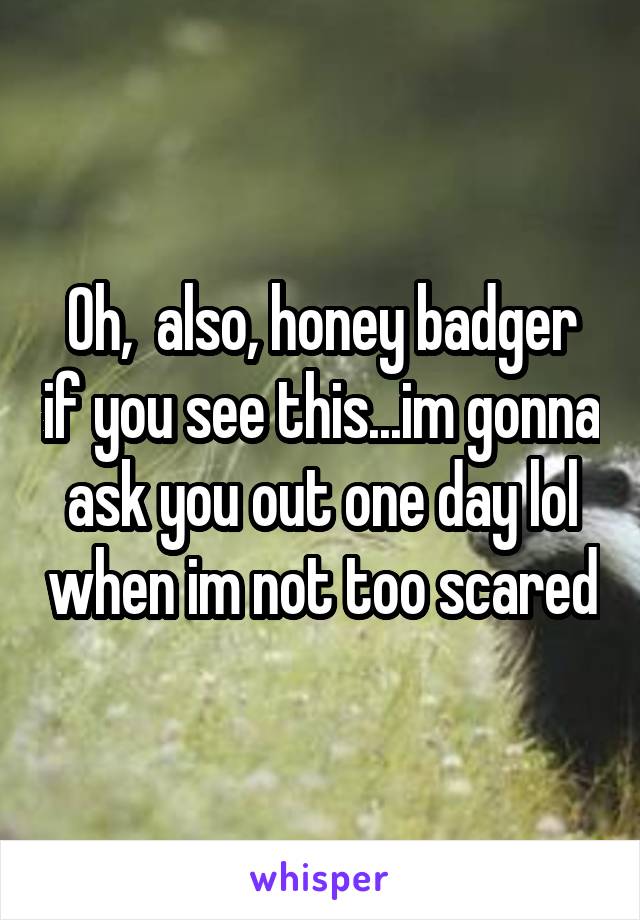 Oh,  also, honey badger if you see this...im gonna ask you out one day lol when im not too scared