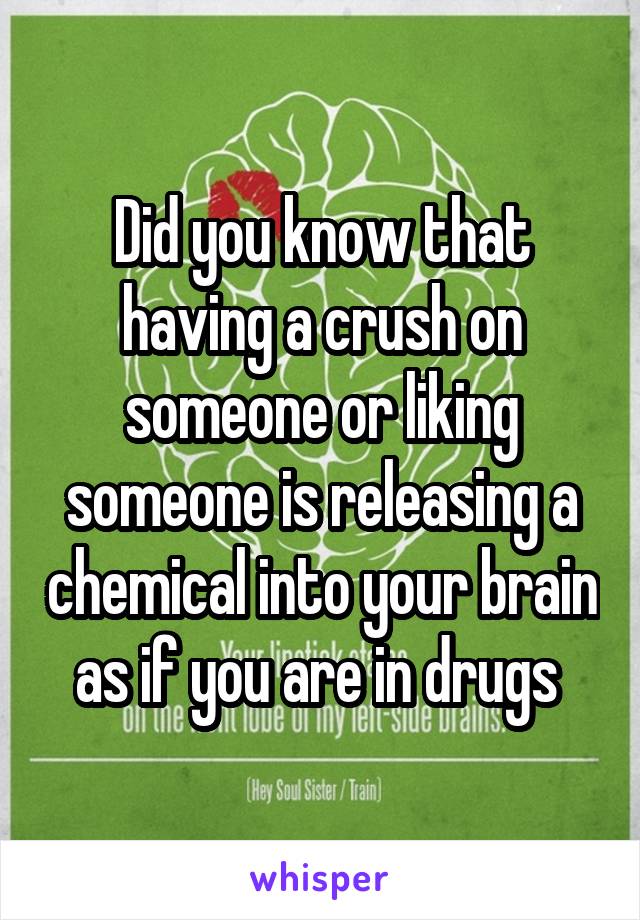 Did you know that having a crush on someone or liking someone is releasing a chemical into your brain as if you are in drugs 