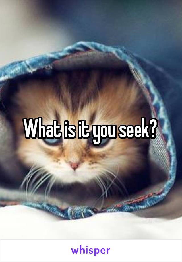 What is it you seek? 