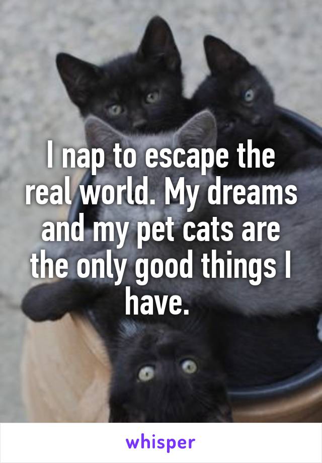 I nap to escape the real world. My dreams and my pet cats are the only good things I have. 