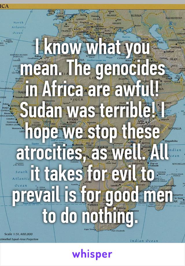 I know what you mean. The genocides in Africa are awful! Sudan was terrible! I hope we stop these atrocities, as well. All it takes for evil to prevail is for good men to do nothing. 