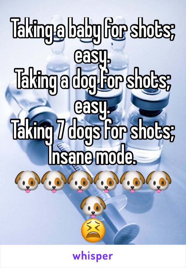 Taking a baby for shots; easy.
Taking a dog for shots; easy.
Taking 7 dogs for shots;
Insane mode.
🐶🐶🐶🐶🐶🐶🐶
😫