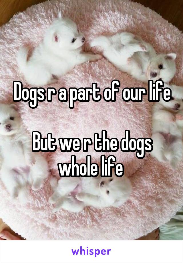 Dogs r a part of our life 
But we r the dogs whole life 