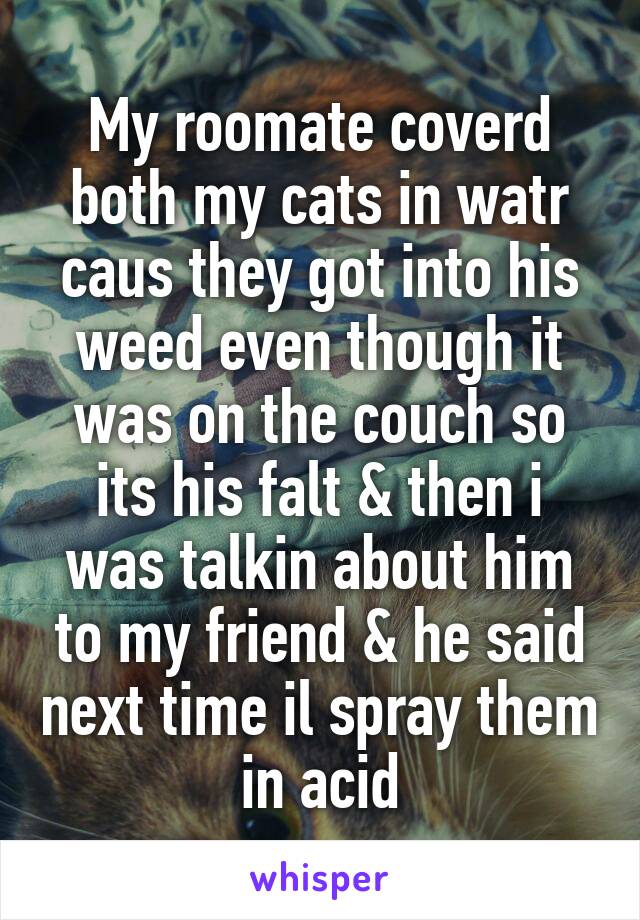 My roomate coverd both my cats in watr caus they got into his weed even though it was on the couch so its his falt & then i was talkin about him to my friend & he said next time il spray them in acid