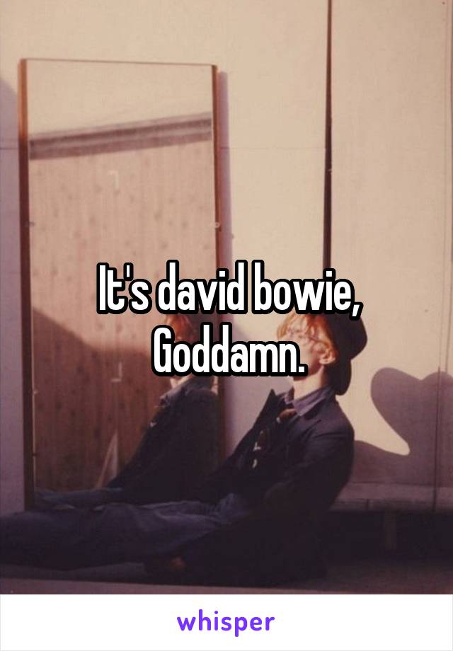 It's david bowie, Goddamn.