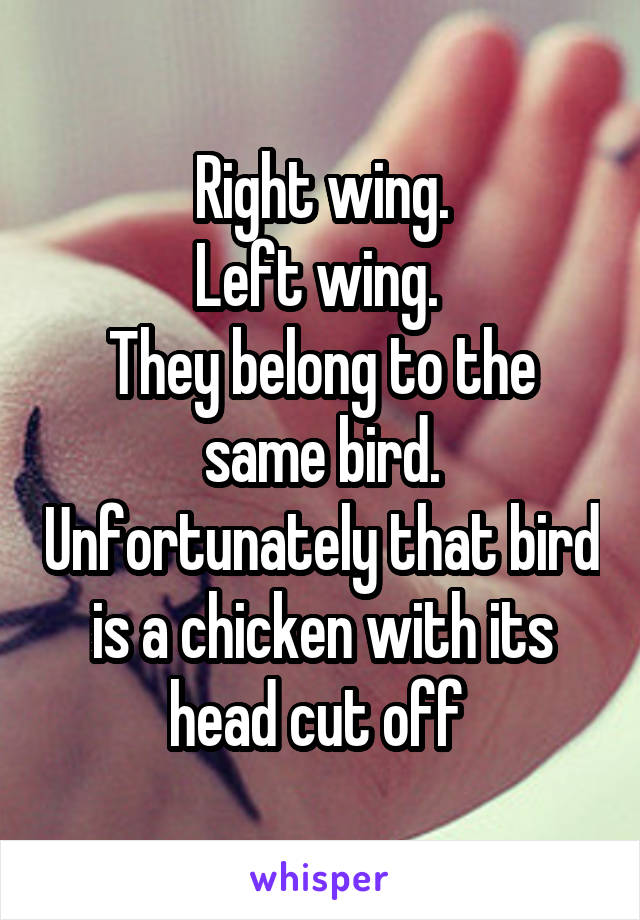 Right wing.
Left wing. 
They belong to the same bird. Unfortunately that bird is a chicken with its head cut off 