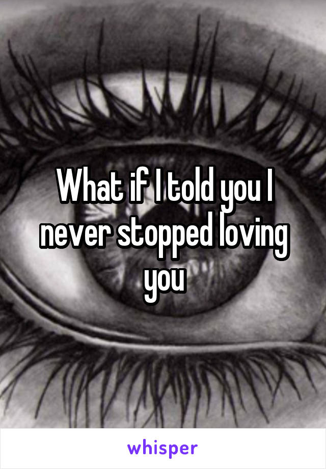 What if I told you I never stopped loving you