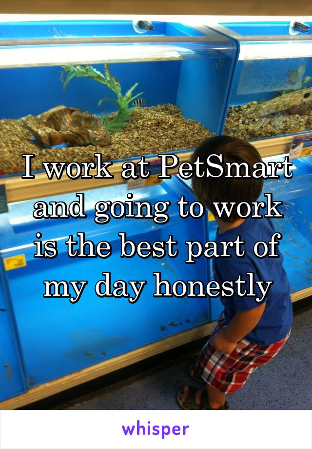 I work at PetSmart and going to work is the best part of my day honestly