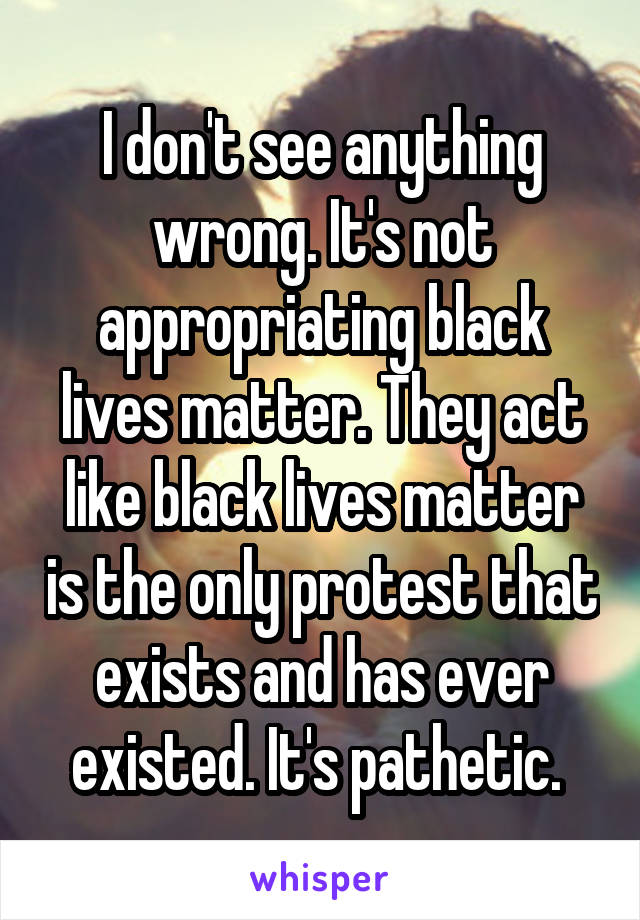 I don't see anything wrong. It's not appropriating black lives matter. They act like black lives matter is the only protest that exists and has ever existed. It's pathetic. 