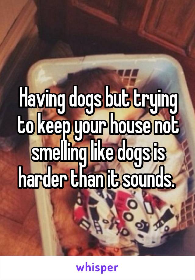 Having dogs but trying to keep your house not smelling like dogs is harder than it sounds. 