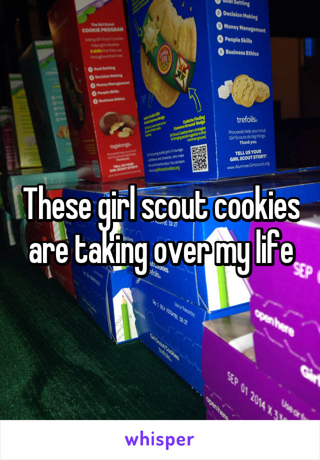 These girl scout cookies are taking over my life