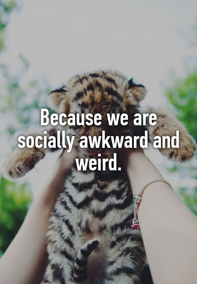 because-we-are-socially-awkward-and-weird