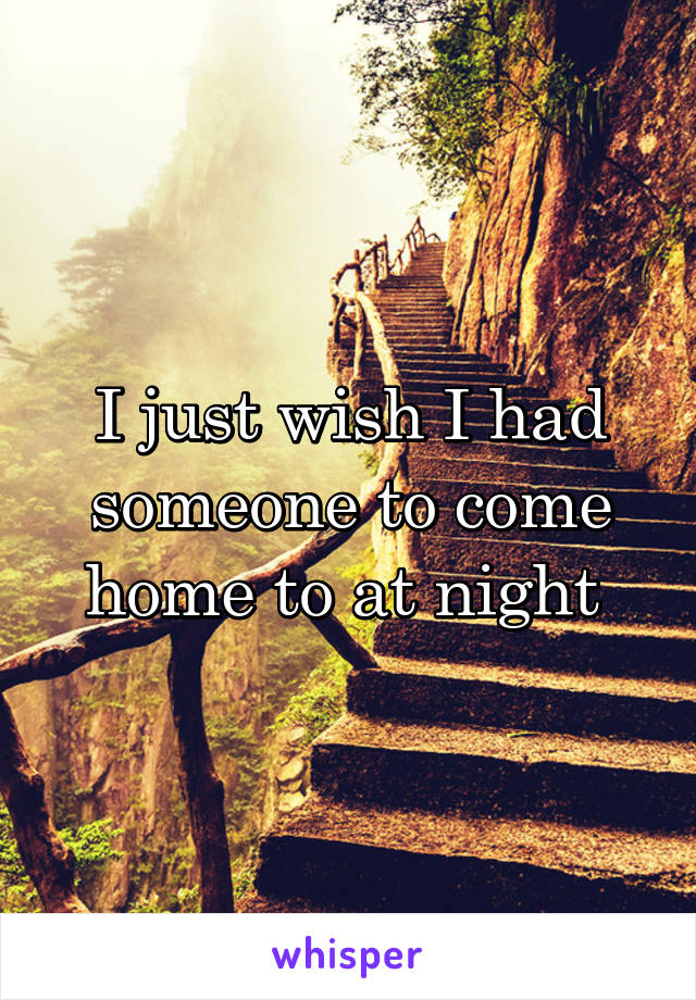 I just wish I had someone to come home to at night 