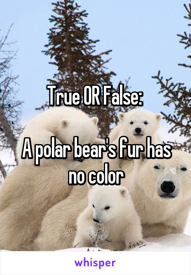 True OR False: 

A polar bear's fur has no color