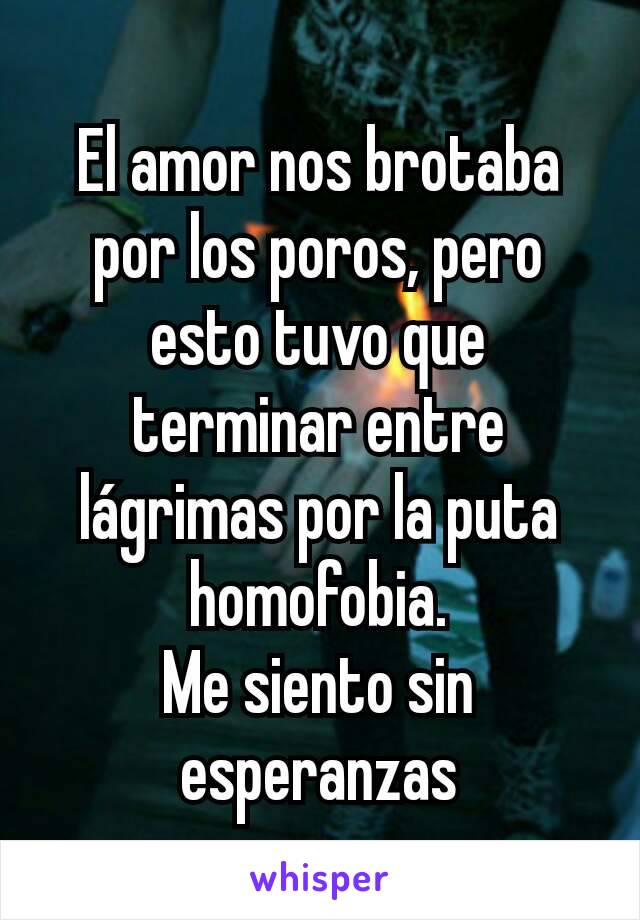 El amor nos brotaba por los poros, pero esto tuvo que terminar entre lágrimas por la puta homofobia.
Me siento sin esperanzas