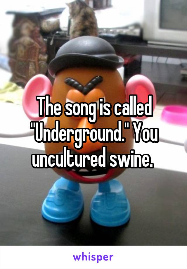 The song is called "Underground." You uncultured swine. 