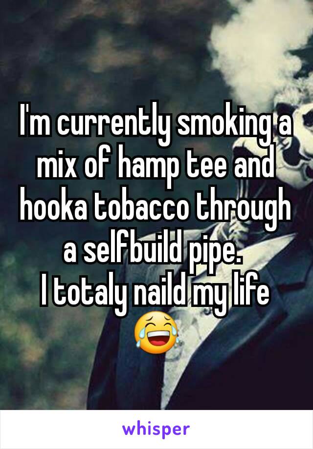 I'm currently smoking a mix of hamp tee and hooka tobacco through a selfbuild pipe. 
I totaly naild my life 😂