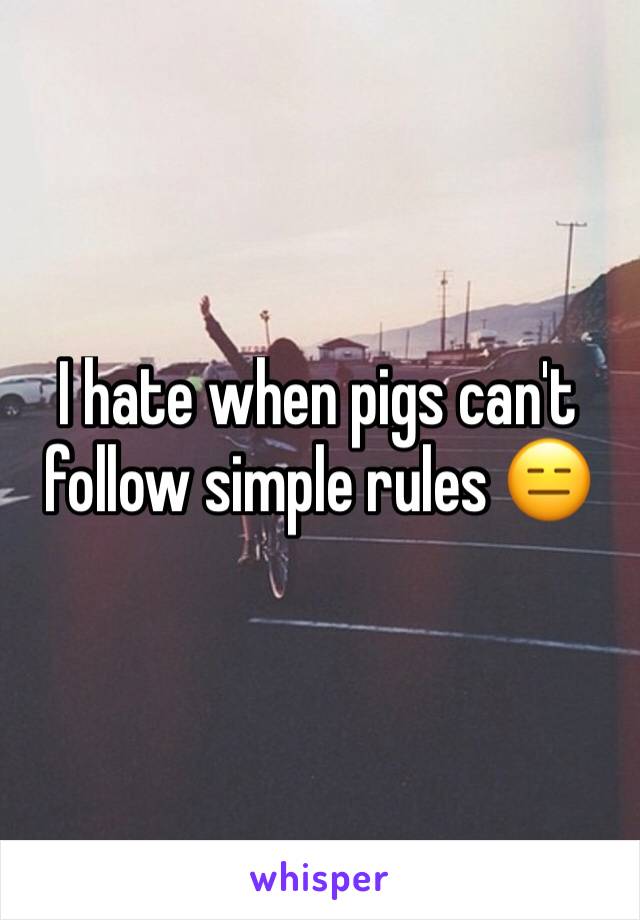 I hate when pigs can't follow simple rules 😑