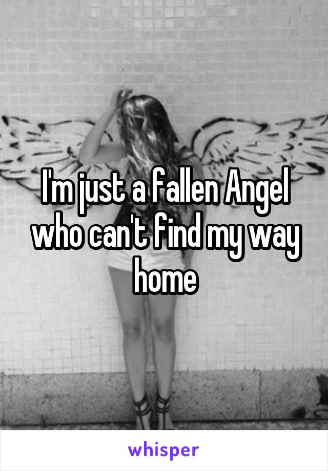 I'm just a fallen Angel who can't find my way home