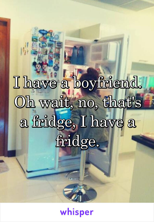 I have a boyfriend. Oh wait, no, that's a fridge, I have a fridge.