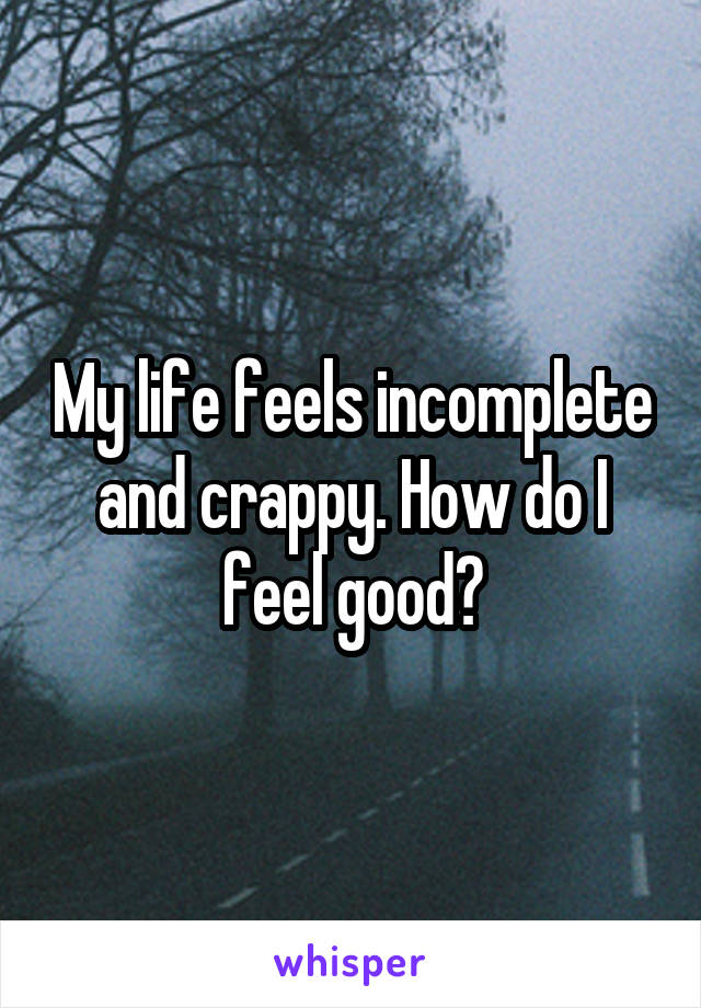 My life feels incomplete and crappy. How do I feel good?