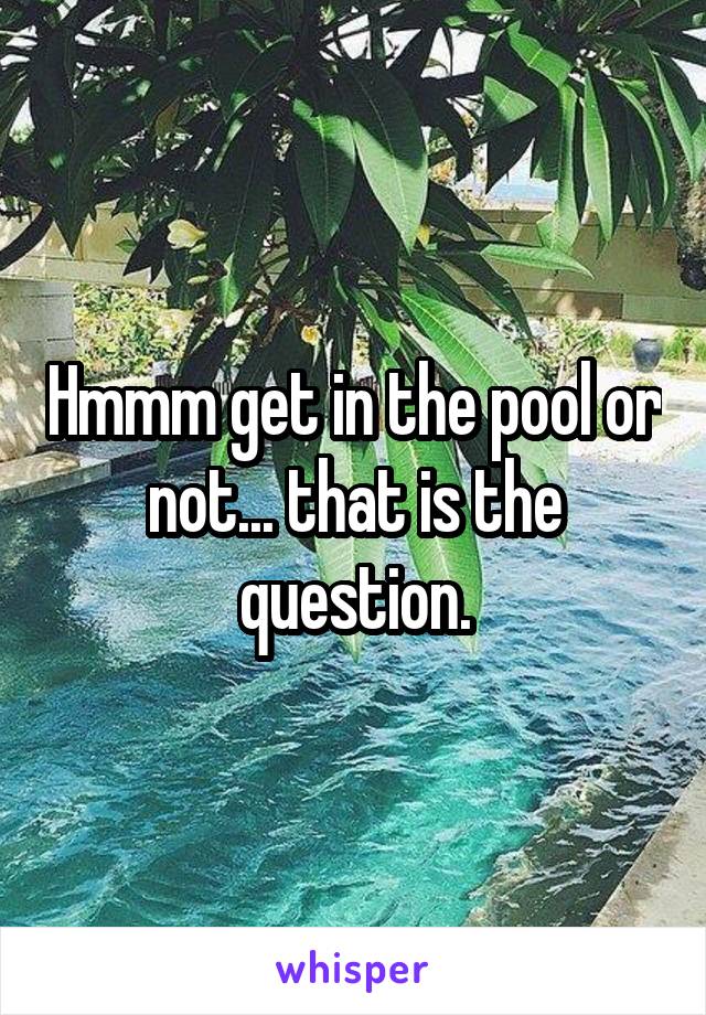 Hmmm get in the pool or not... that is the question.